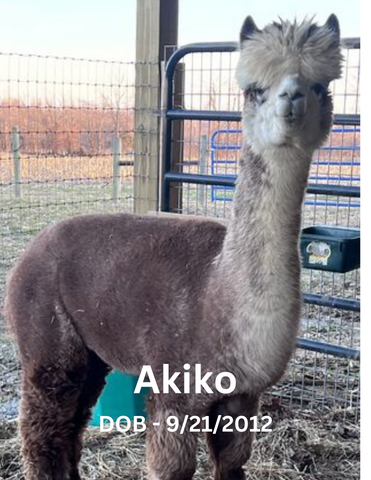 Indiana's Akiko