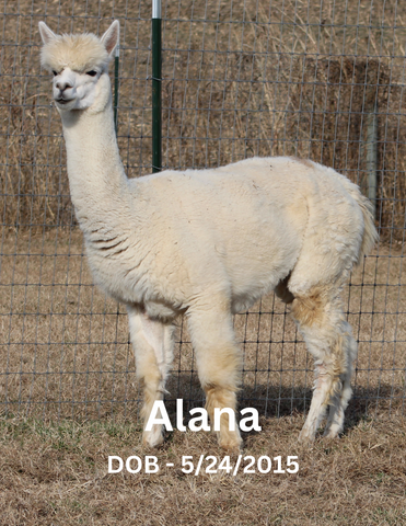 Alana of Blowing Oaks