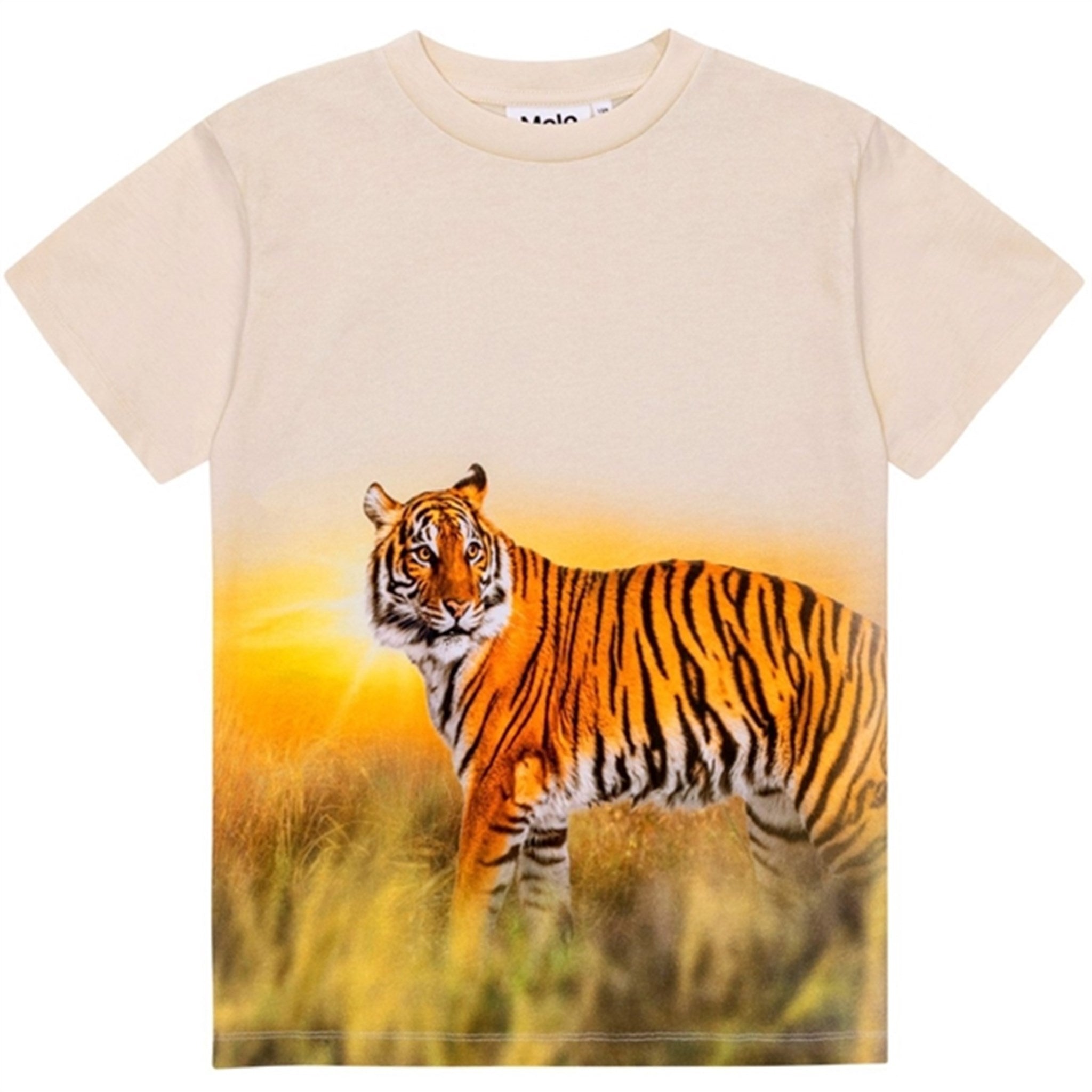 Molo Tiger Sand Roxo T-Shirt - Str. 10 år