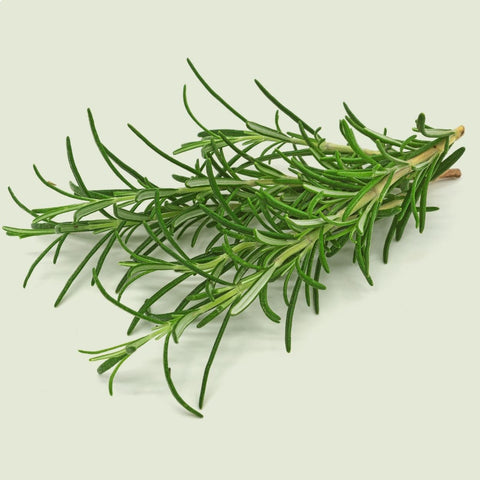 Close-up image of freshly cut rosemary with stems against a neutral background. The deep green needles are highly textured and vibrant, contrasting beautifully with the simplistic background.