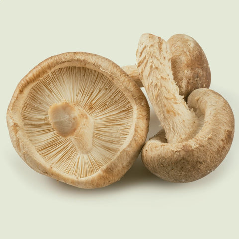Close-up image of fresh Shiitake mushrooms. The mushrooms' brown caps and cream-colored gills are clearly visible, showcasing their unique texture and form.
