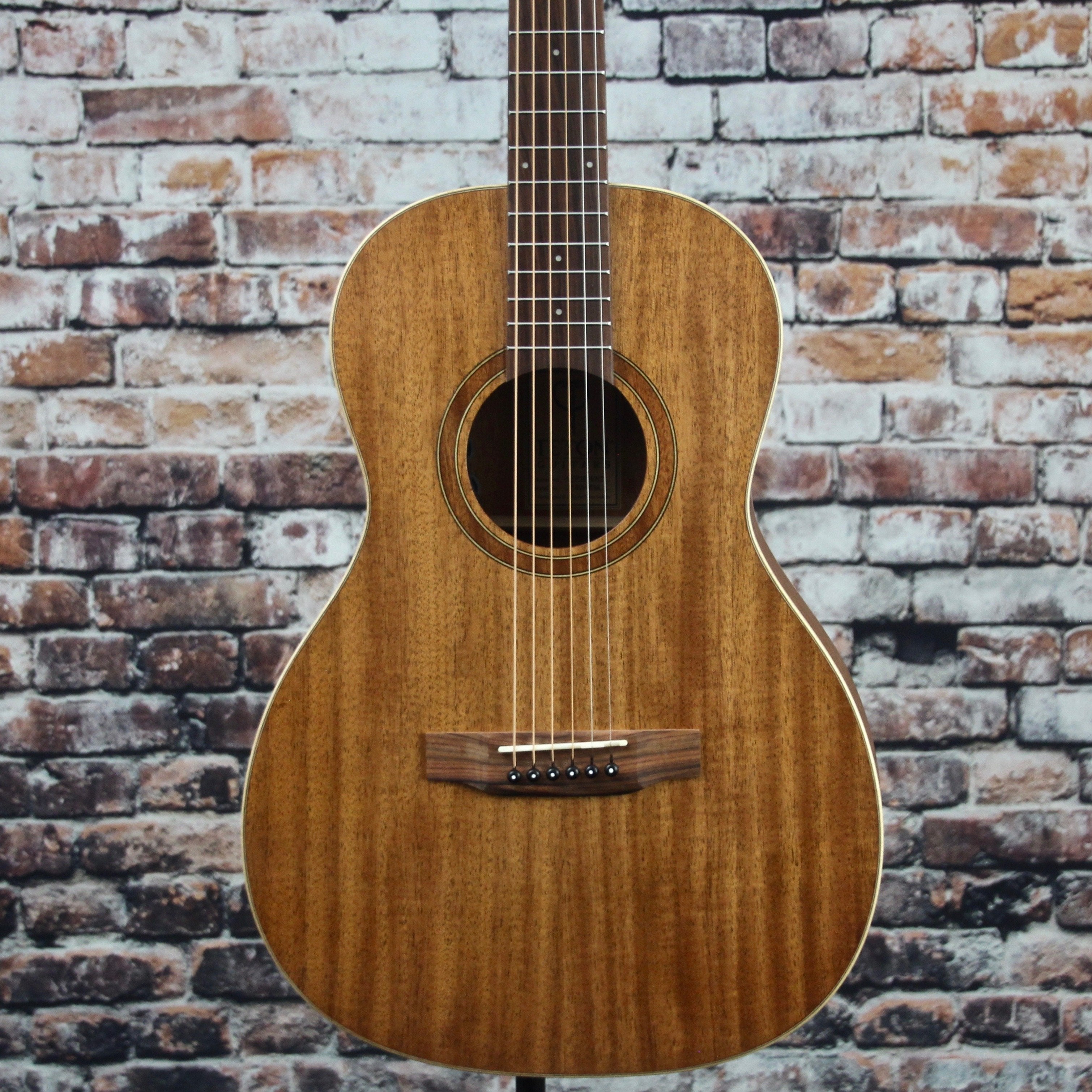 teton parlor guitar