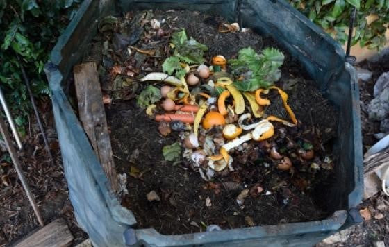 Benefits of Using a Compost Bin at Home
