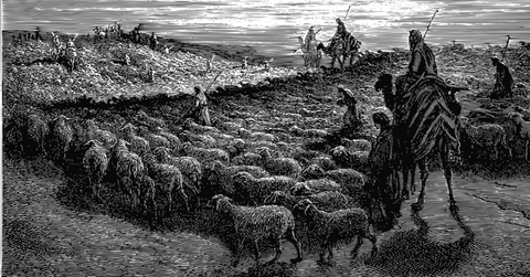 Abraham and his flock of sheep