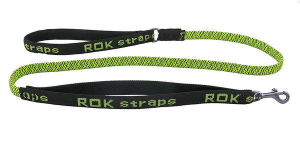 rok dog leads and collars