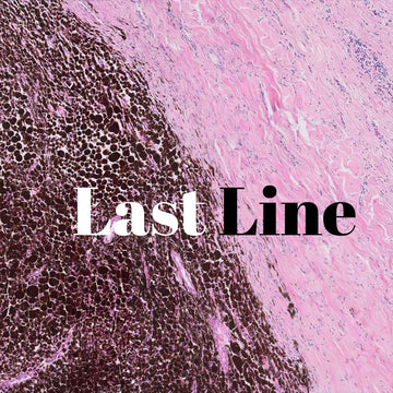 Last Line.jpg