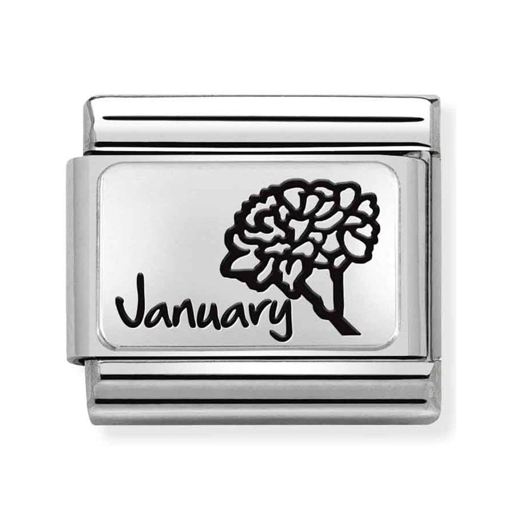 CLASSIC Composable Plates January Flower Charm