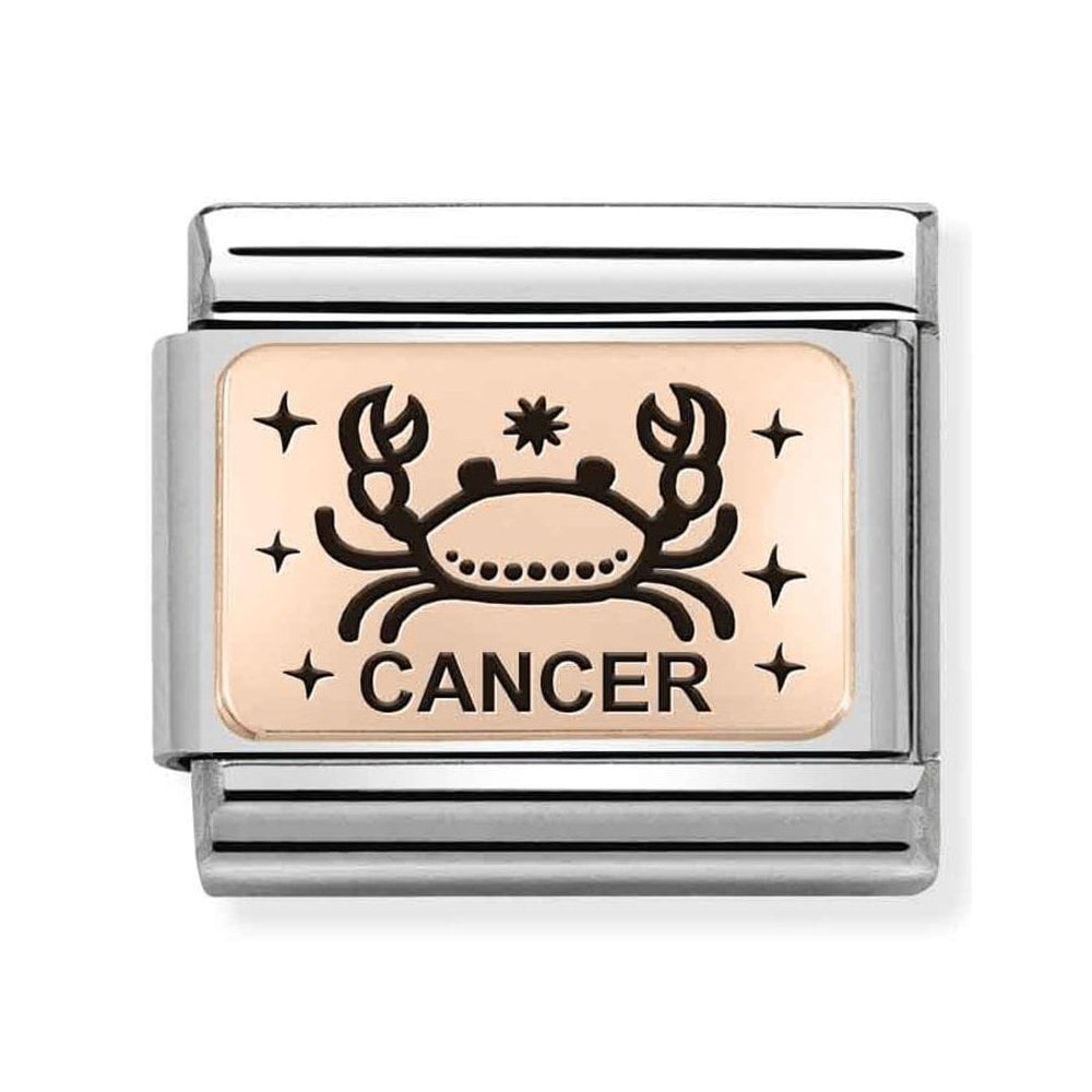 CLASSIC Composable Plates Cancer Charm