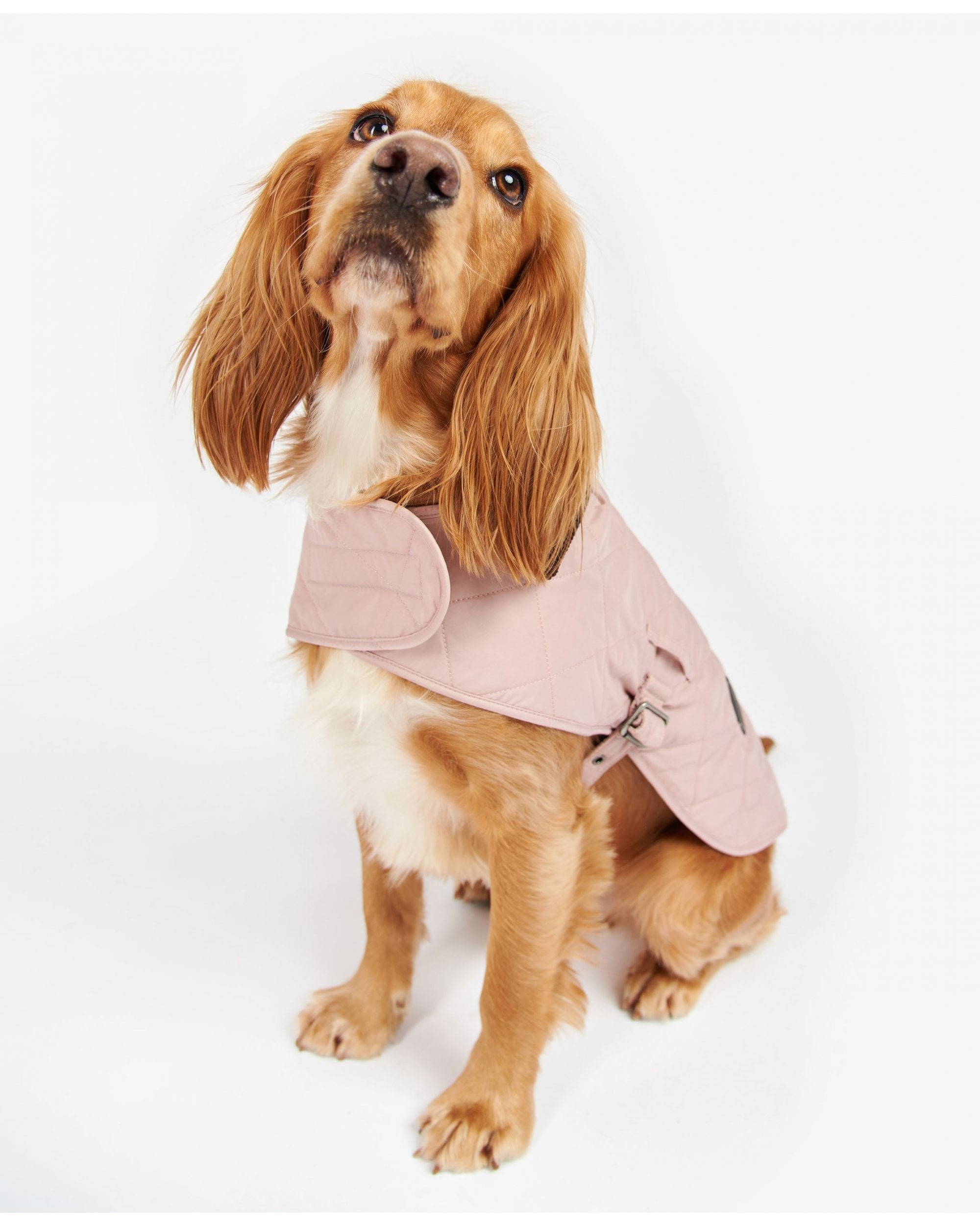 Barbour Quilted Dog Coat