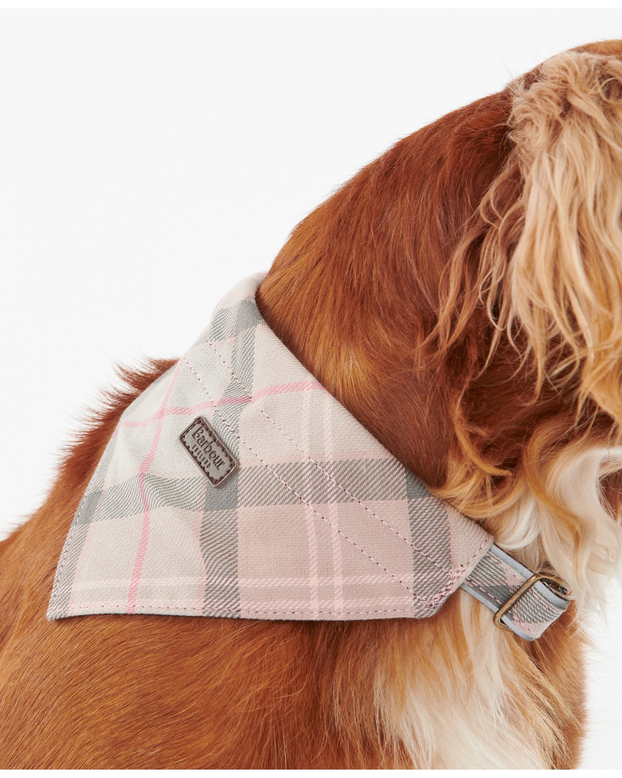 Barbour Tartan Dog Bandana