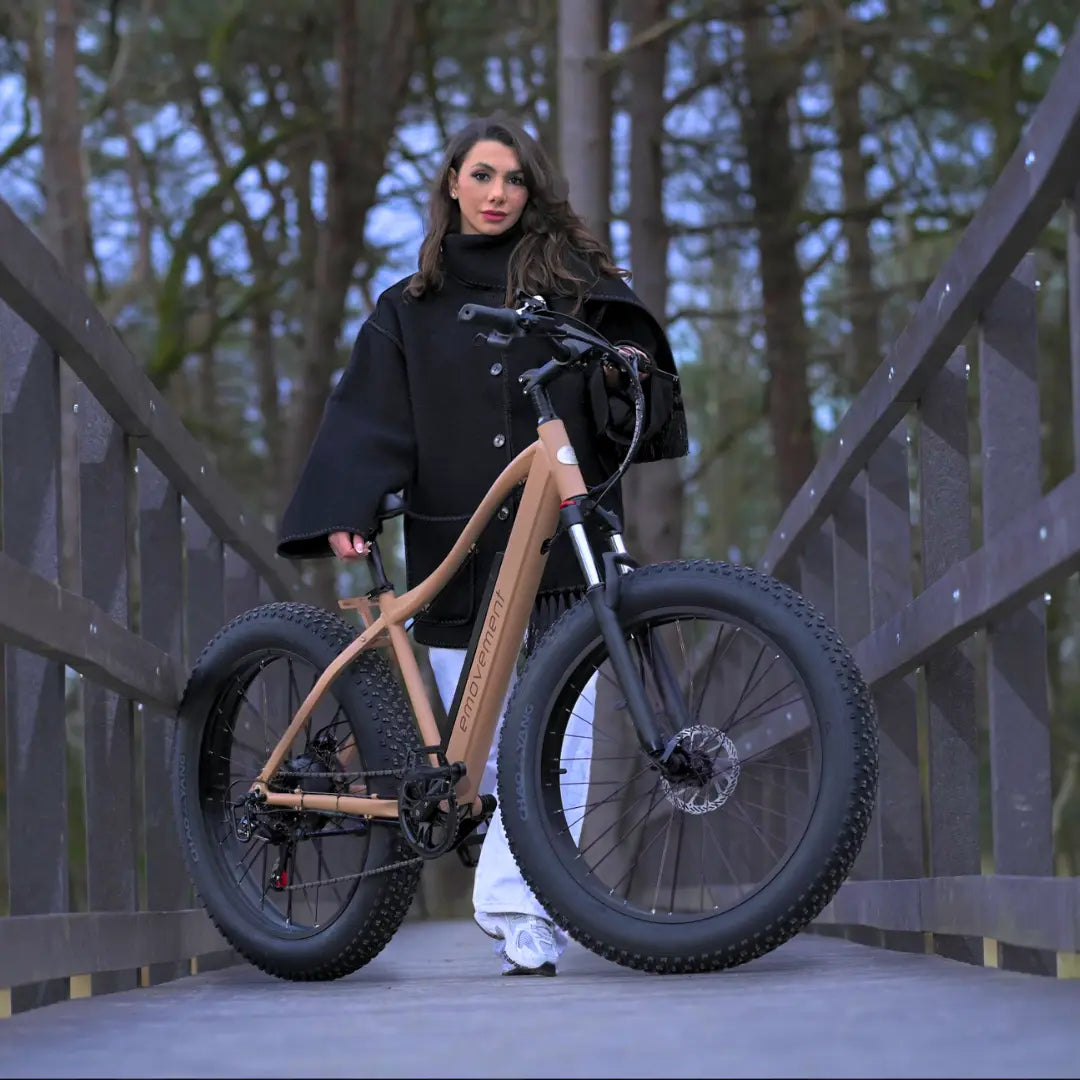 High speed electric bike clearance