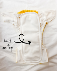 Revitalized Pocket Diaper