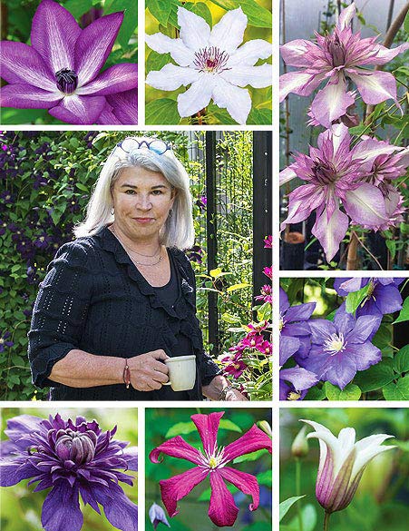 Deborah and Clematis Plants