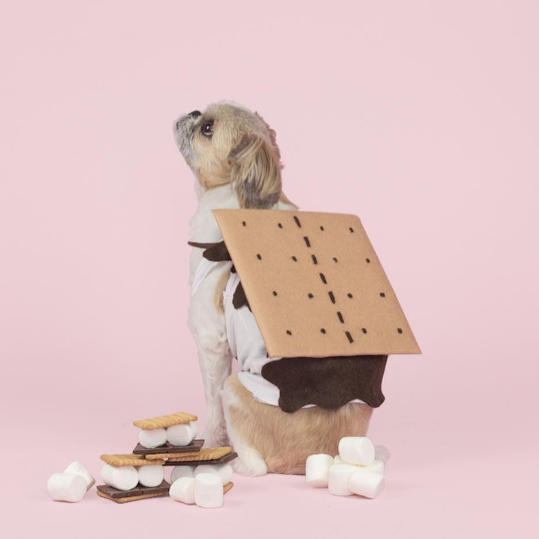 smore dog costume