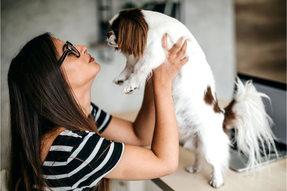 woman in glasses picking up king charles spaniel