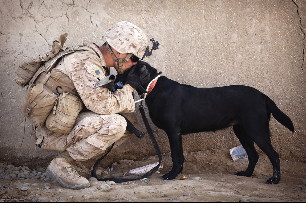 U.S soldier kneeling down and kissing black dog on the head