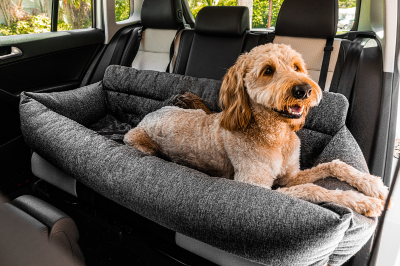 Goldendoodle dog sitting inside pet car seat bed