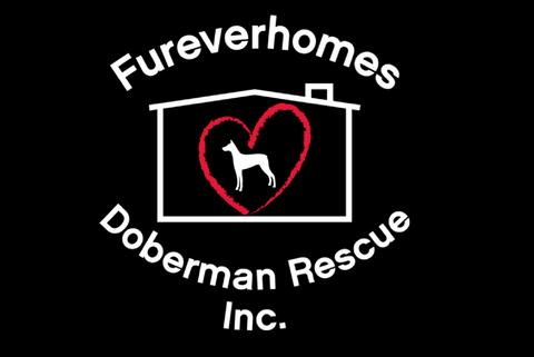 Fureverhomes Doberman Rescue