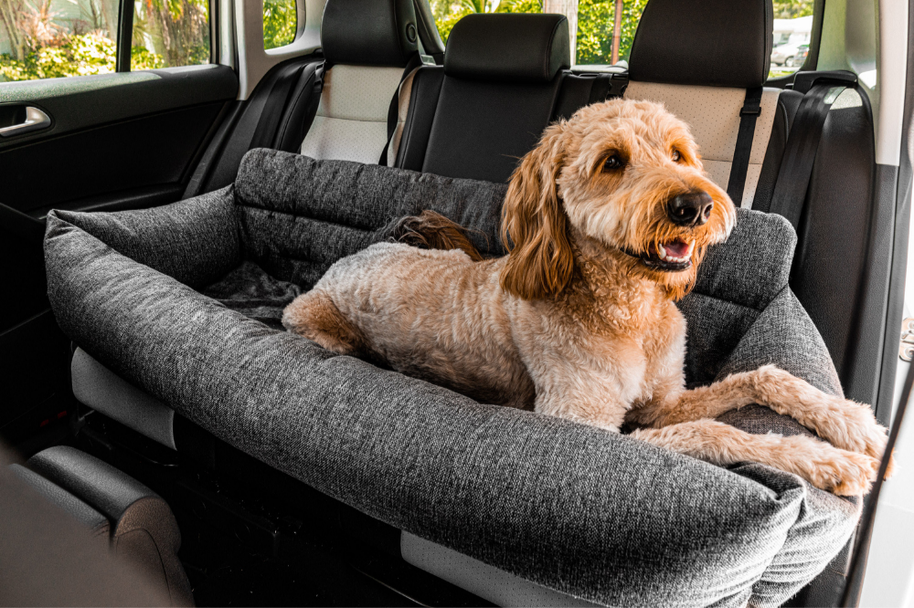 Back Seat Car Bed