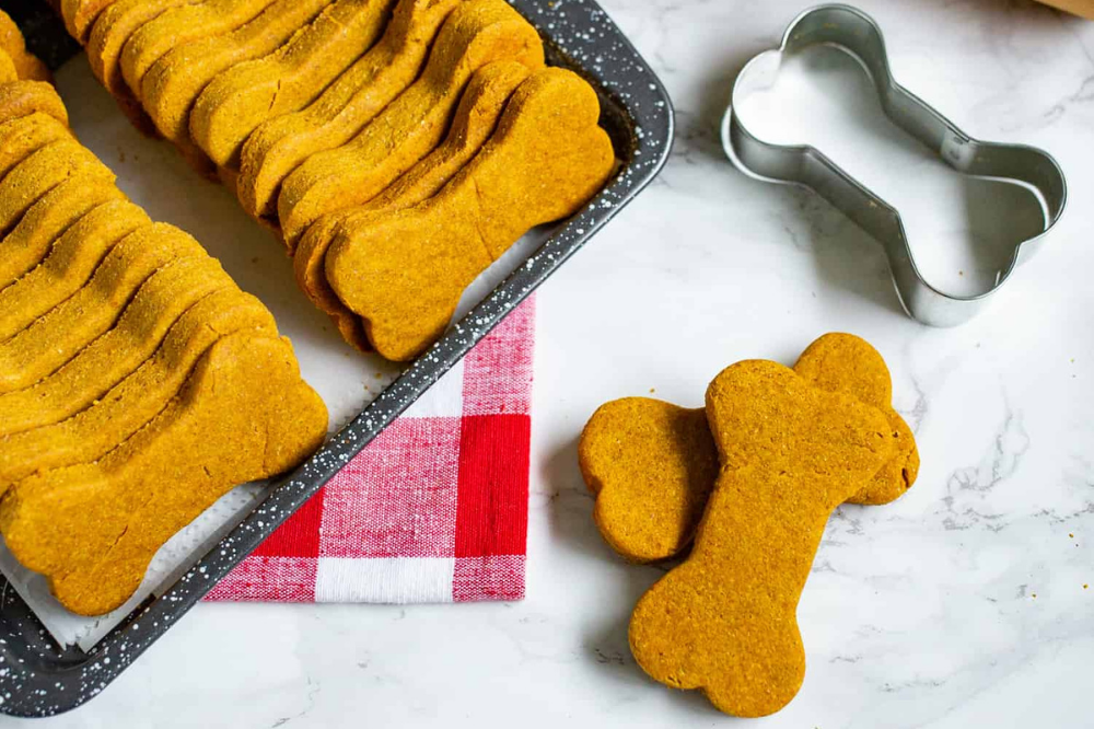 pumpkin and peanut butter dog treats on red plaid tablecloth