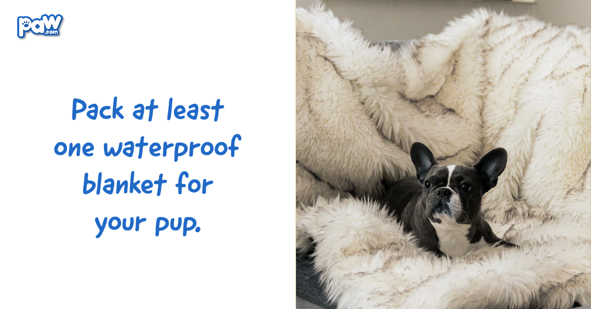 Pack at least one waterproof blanket for your pup.