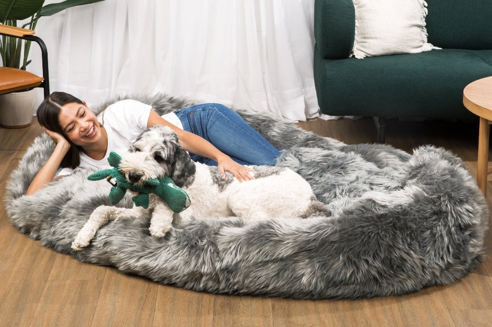 Asian woman laying on gray human dog bed with gray and white dog with toy in its mouth