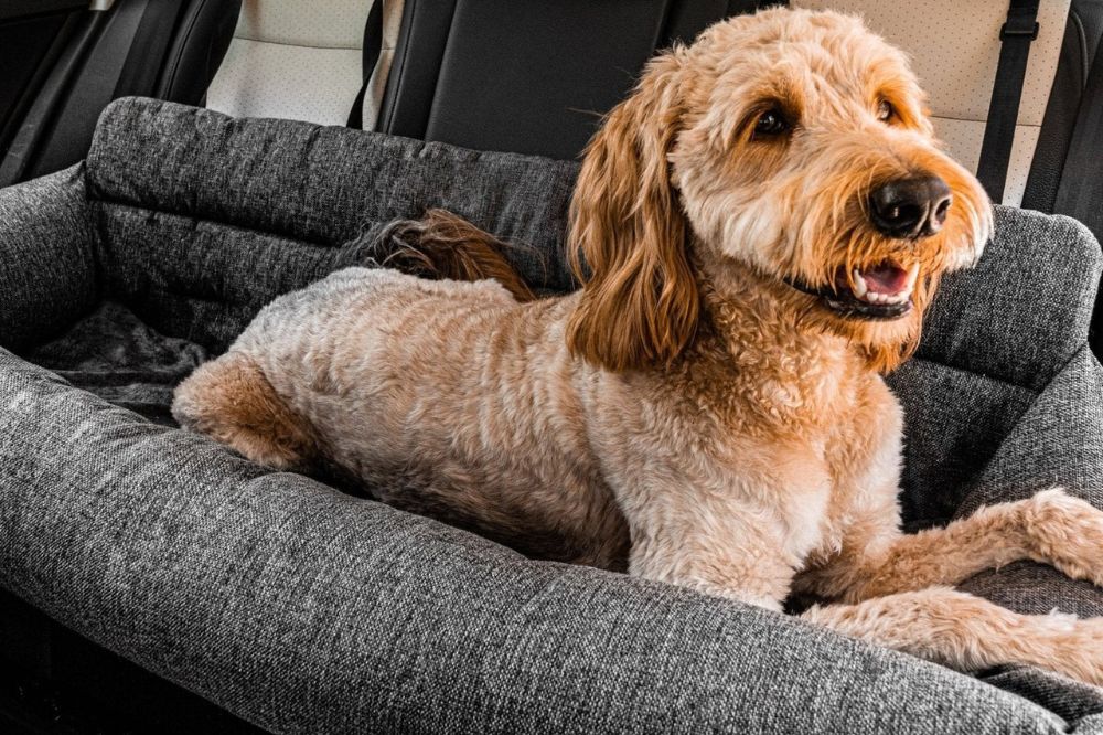 Travel Dog Car Bed