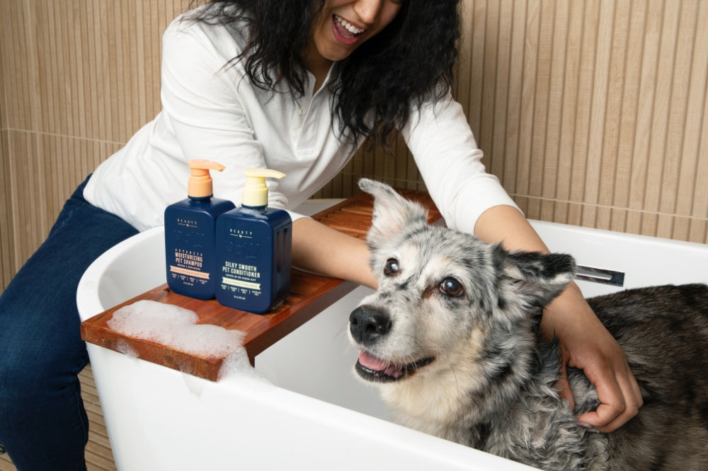woman bathing dog in bathtub with bottles of dog shampoo and conditioner next to them