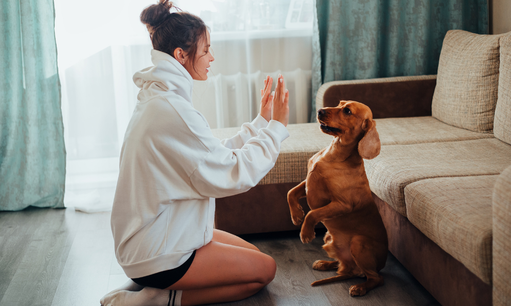 Woman Teaching Her Dog Tricks 