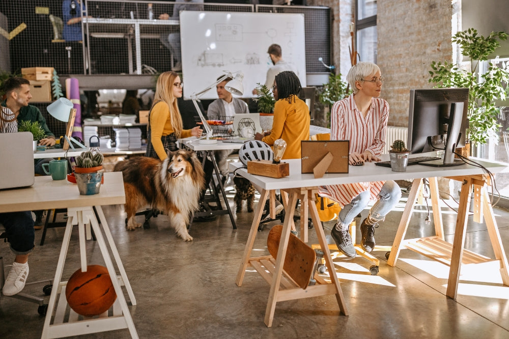 modern office of 5 people at desks with rough collie near desk