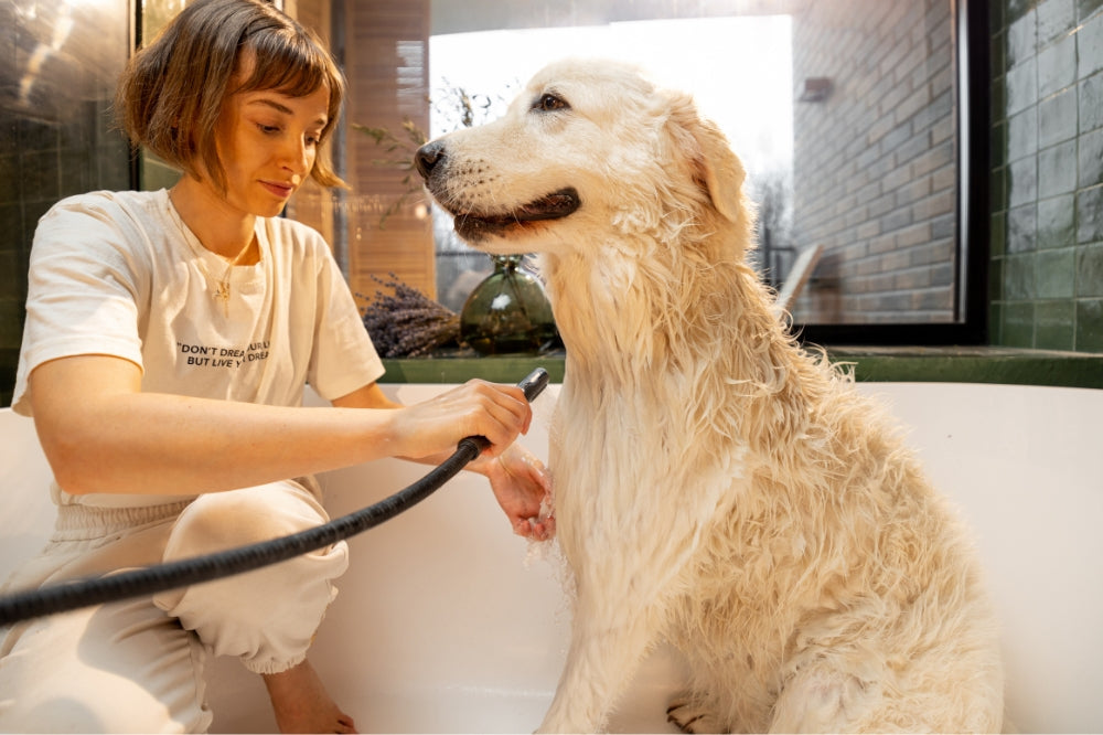 woman with short hair bathing a dog in tub with detachable shower head