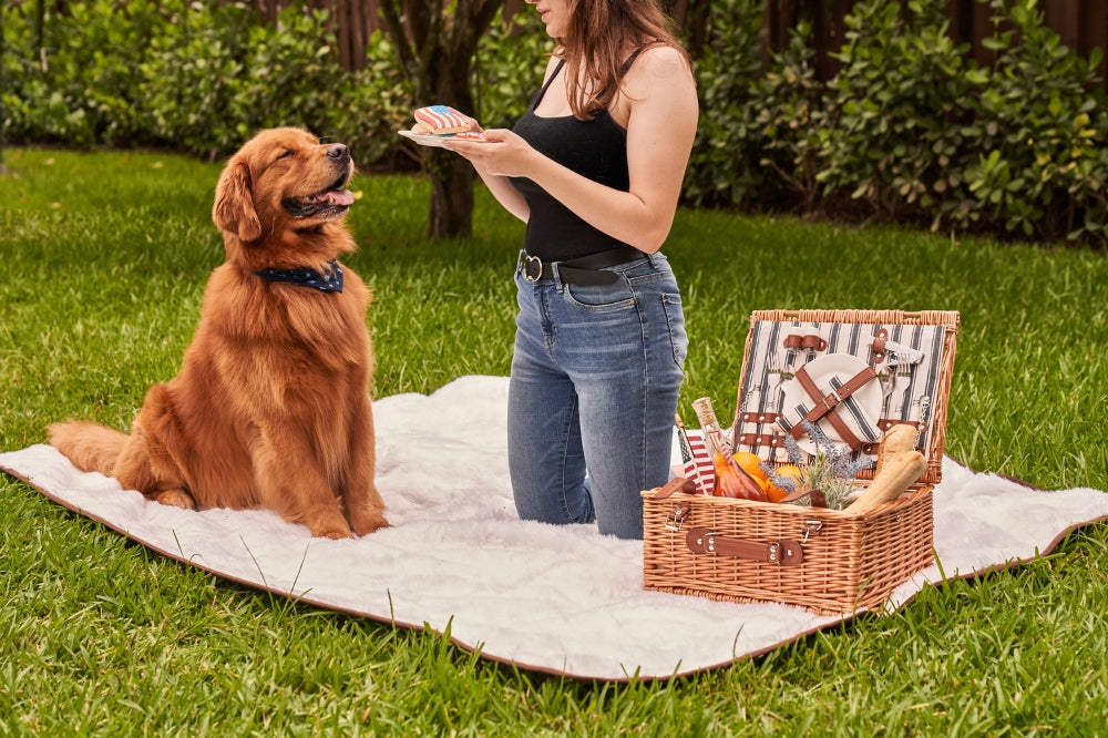 woman with plate of treats on picnic blanket with golden retriever