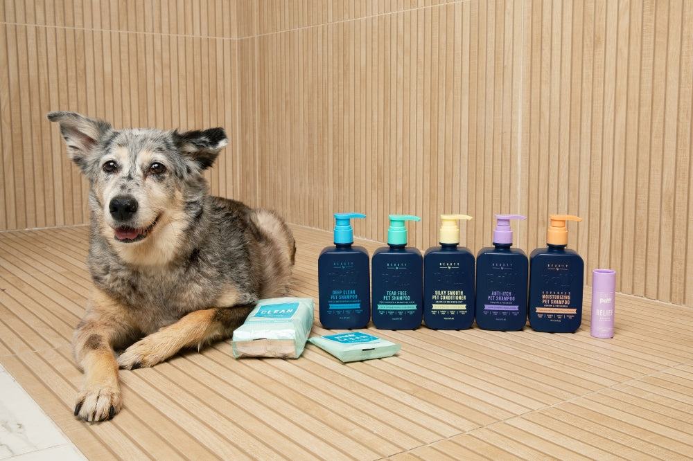 dog lying down next to 4 shampoos, 1 conditioner bottle, and other grooming products