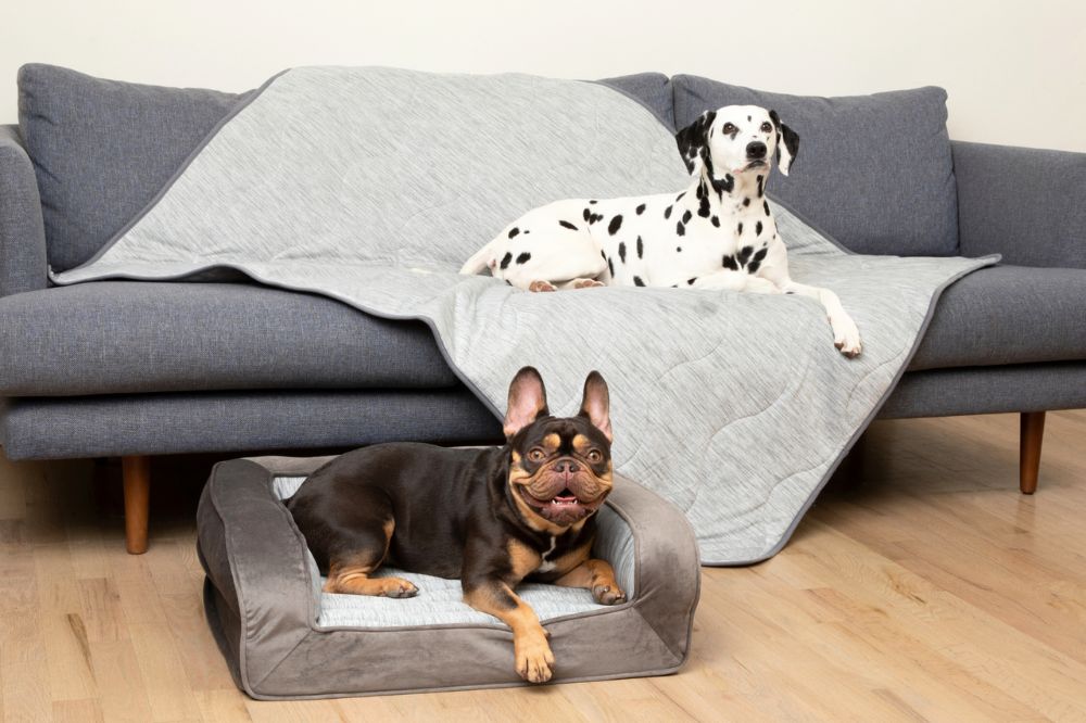 Cooling Bed & Waterproof Blanket