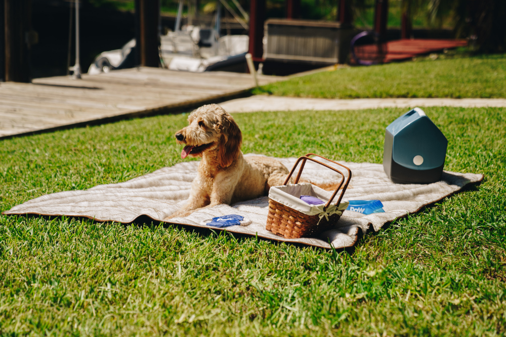 Cool Comfort Waterproof Blanket