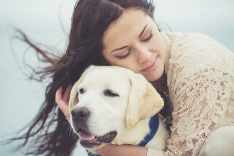 dog cuddling human