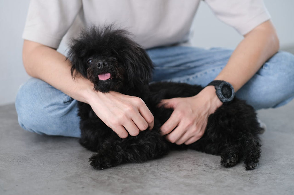 A man holding a small black dog