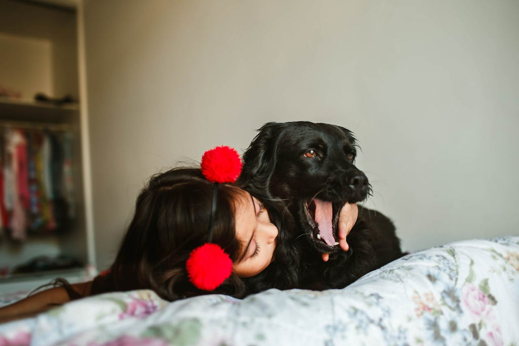 A black dog yawning next to a child