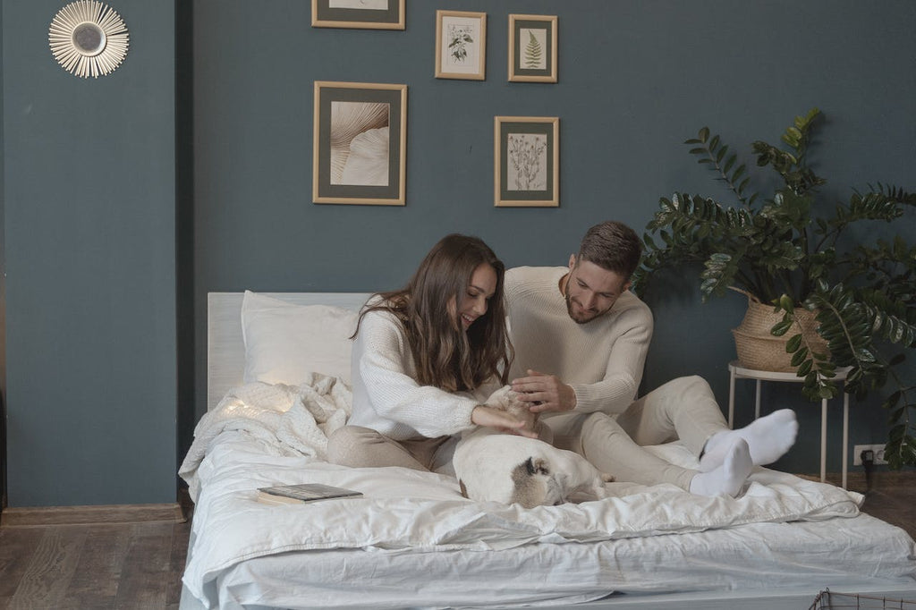 A couple cuddling with their dog in bed