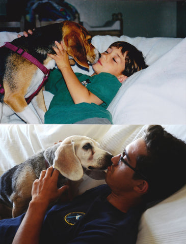 Beagle mix giving boy a kiss on left, beagle mix giving man a kiss on right