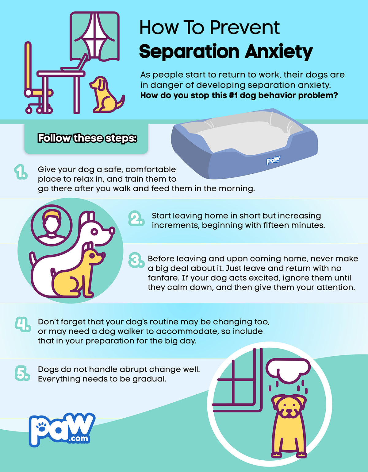 How to prevent separation anxiety infographic