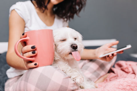 woman in PJ pants holding mug with a dog in her lap