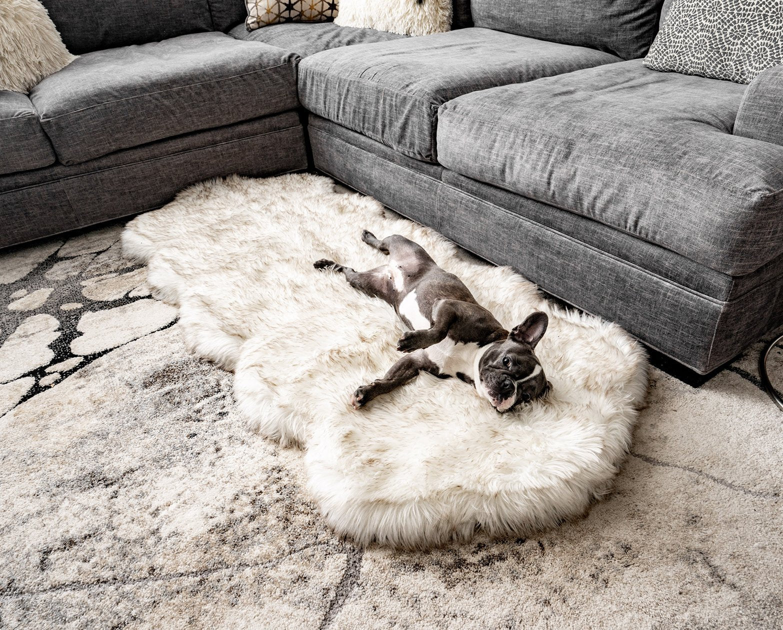 dog bed rug