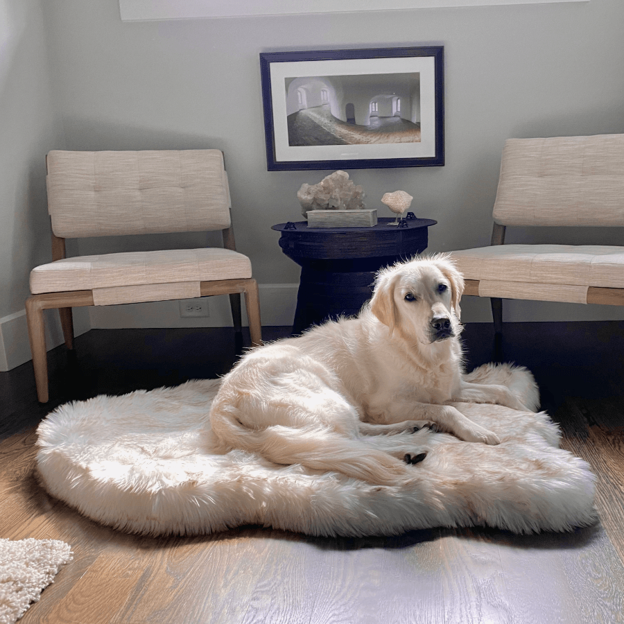 PupRug by Paw.com™ Faux Fur Orthopedic Dog Bed - Curve White with Brown Accents - Paw.com product image