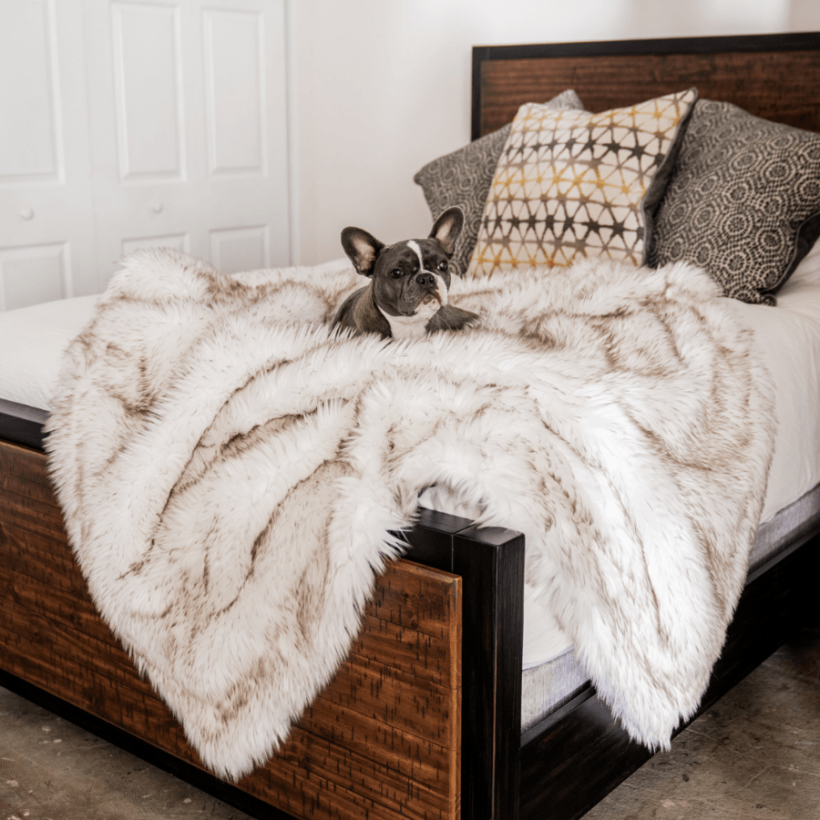 PupProtector™ Waterproof Throw Blanket - White with Brown Accents - Paw.com product image