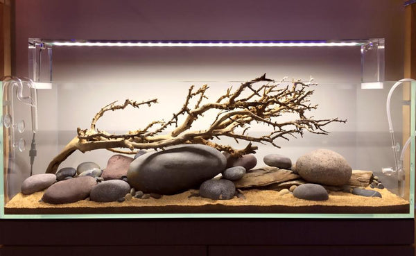 Aquarium Rocks - Everything You Should Know - Bunnycart Blog