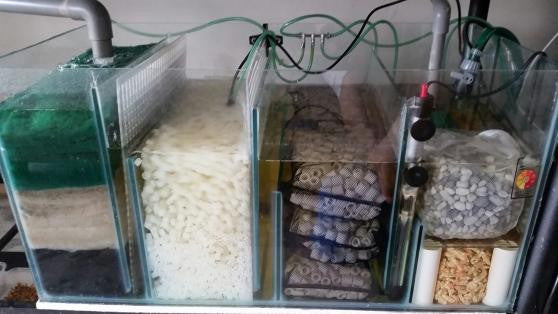 sump filter for freshwater aquarium