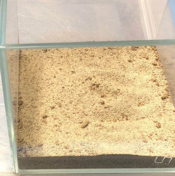 EP.5 Choosing Reef Aquarium Sand - Substrate for Saltwater 