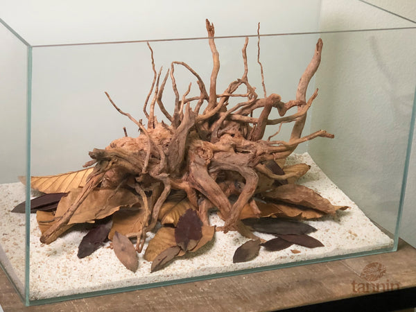 The tangle of Spider Wood - Tannin Aquatics