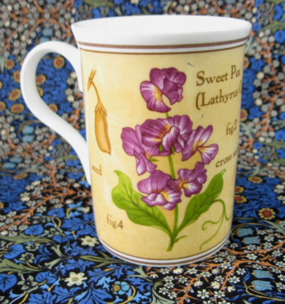 Mug Sweet Peas And Pansies Botanical English Bone China Crown Trent 19 